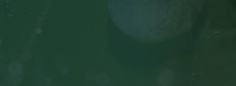 Ørering